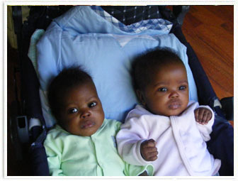 barnswallowbabies